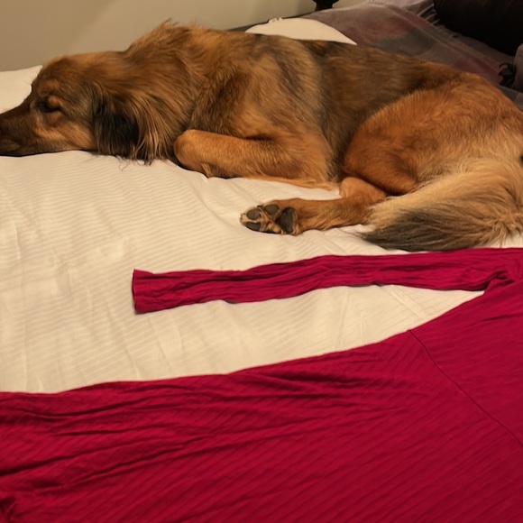 Lulus Maroon/Wine long sleeve skater dress. (Pup not for sale haha) - Picture 4 of 4